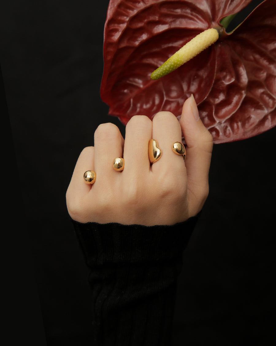 Botai Ring